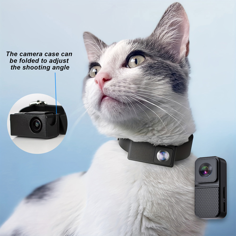 Câmeras para animais de estima - Home Cinema Hd avaliação e preço