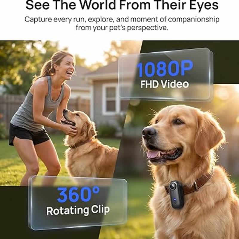 Câmeras para Animais de Estima - Home Cinema Hd avaliação e preço