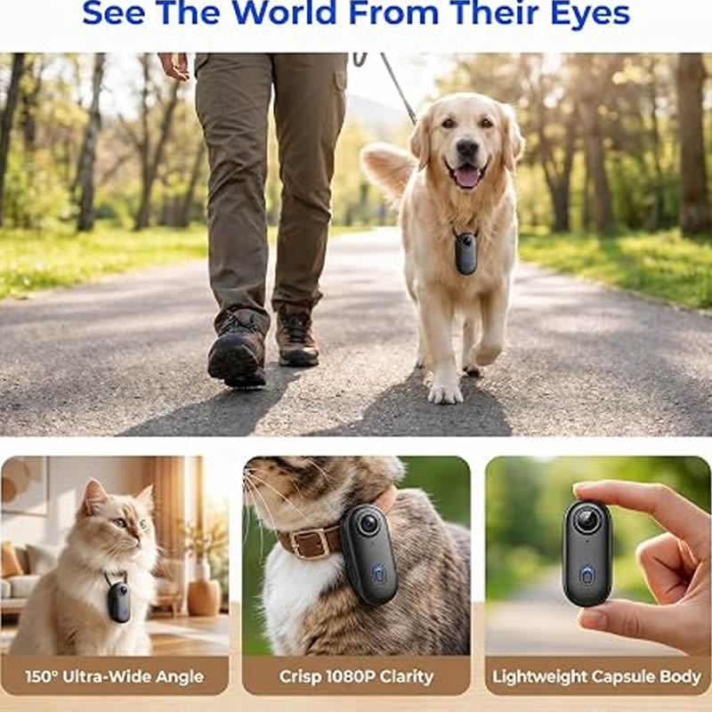 Câmeras para Animais de Estima - Home Cinema Hd avaliação e preço